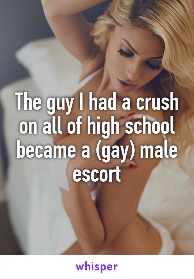 The guy I had a crush on all of high school became a (gay) male escort