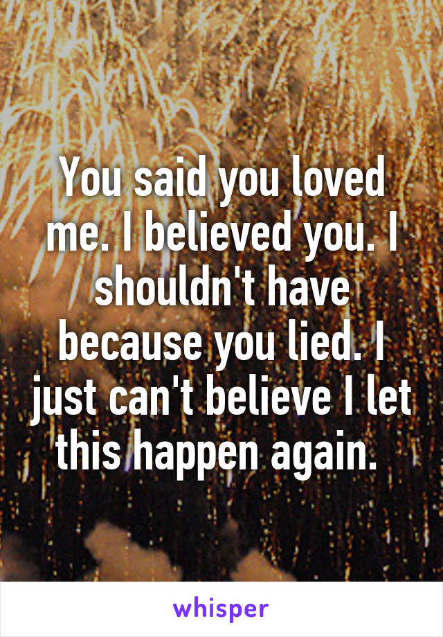 You said you loved me. I believed you. I shouldn't have because you lied. I just can't believe I let this happen again. 