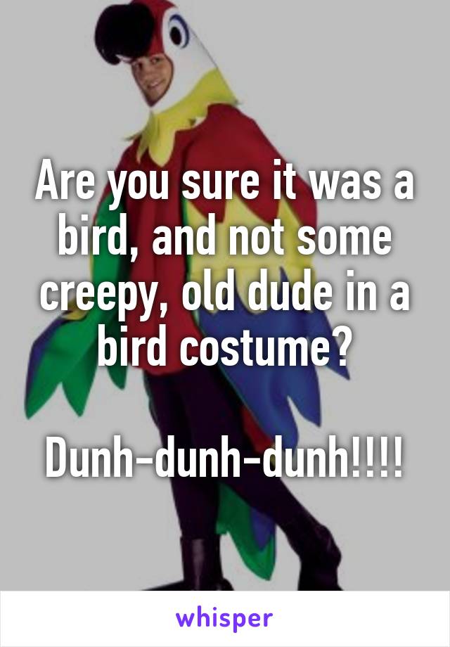 Are you sure it was a bird, and not some creepy, old dude in a bird costume?

Dunh-dunh-dunh!!!!