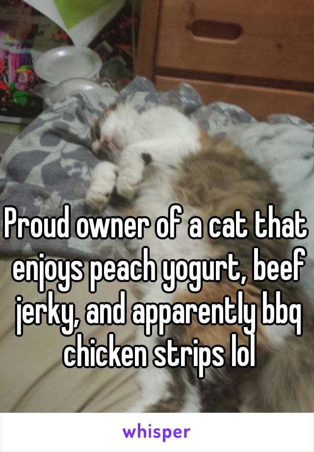 Proud owner of a cat that enjoys peach yogurt, beef jerky, and apparently bbq chicken strips lol