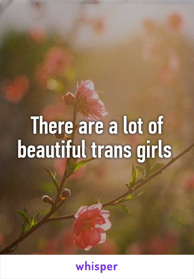 There are a lot of beautiful trans girls 
