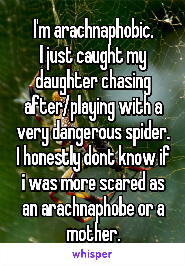 I'm arachnaphobic.
I just caught my daughter chasing after/playing with a very dangerous spider.
I honestly dont know if i was more scared as an arachnaphobe or a mother.