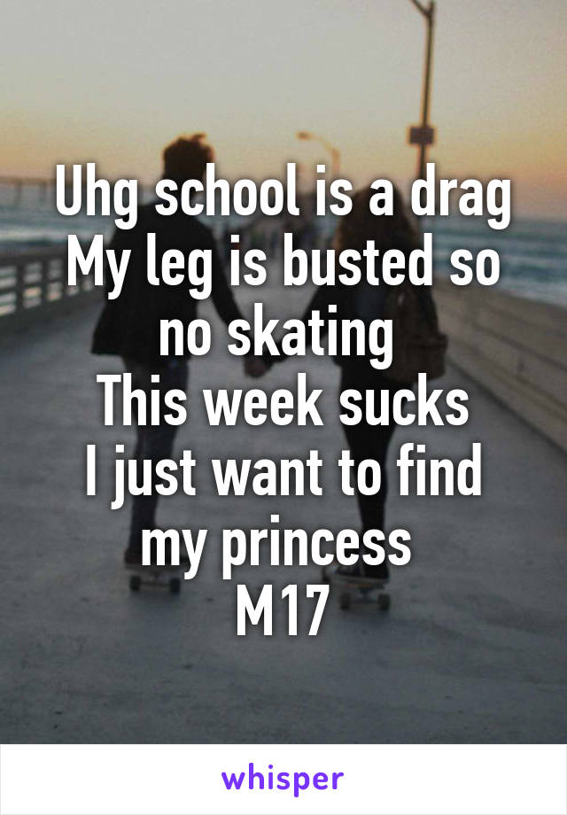 Uhg school is a drag
My leg is busted so no skating 
This week sucks
I just want to find my princess 
M17