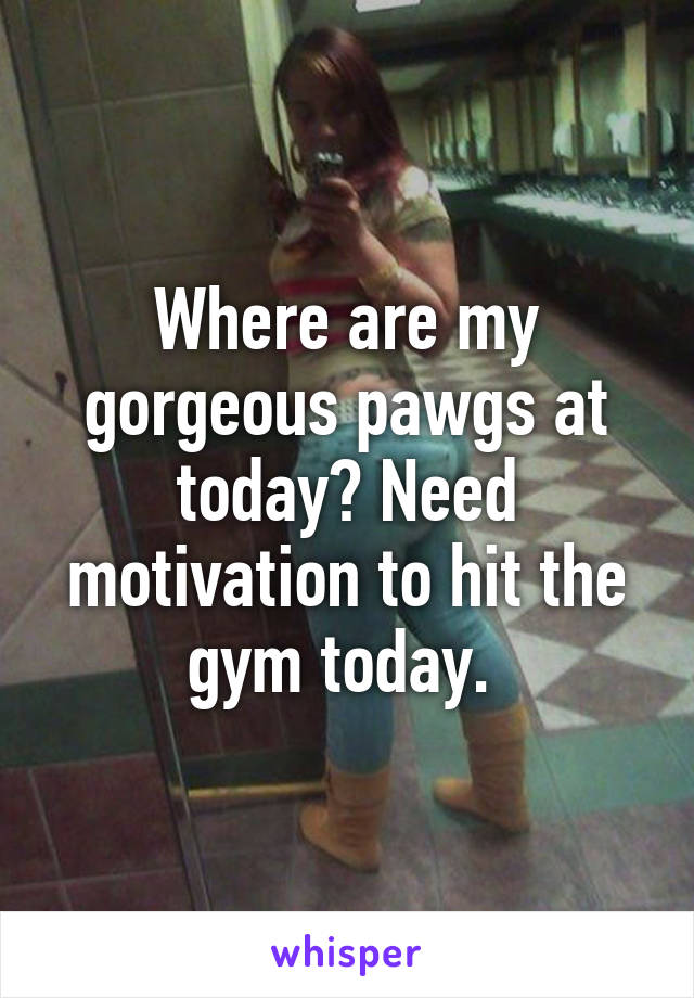 Where are my gorgeous pawgs at today? Need motivation to hit the gym today. 