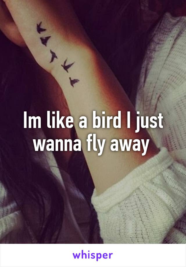 Im like a bird I just wanna fly away 