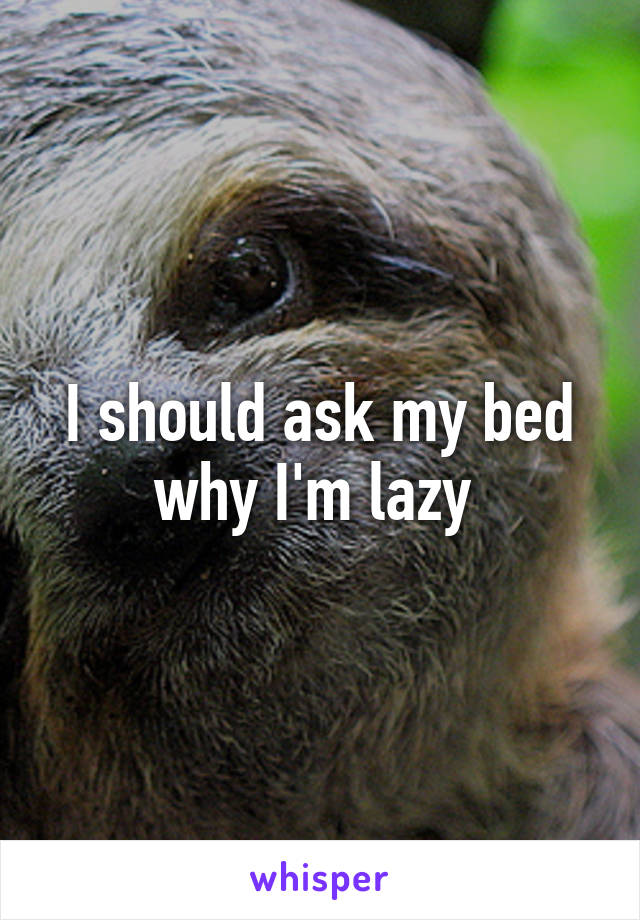 I should ask my bed why I'm lazy 