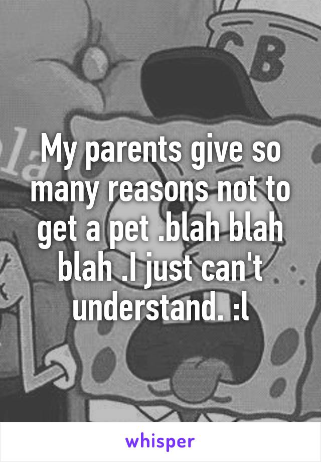 My parents give so many reasons not to get a pet .blah blah blah .I just can't understand. :l