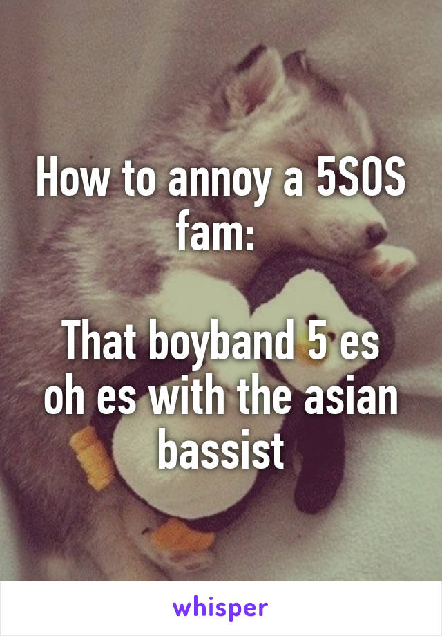 How to annoy a 5SOS fam: 

That boyband 5 es oh es with the asian bassist