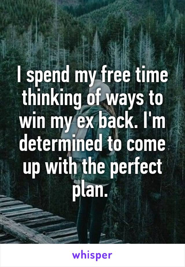 I spend my free time thinking of ways to win my ex back. I'm determined to come up with the perfect plan. 