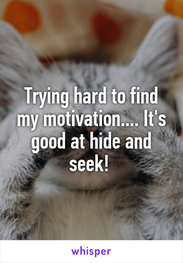 Trying hard to find my motivation.... It's good at hide and seek! 