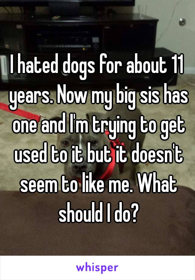 I hated dogs for about 11 years. Now my big sis has one and I'm trying to get used to it but it doesn't seem to like me. What should I do?