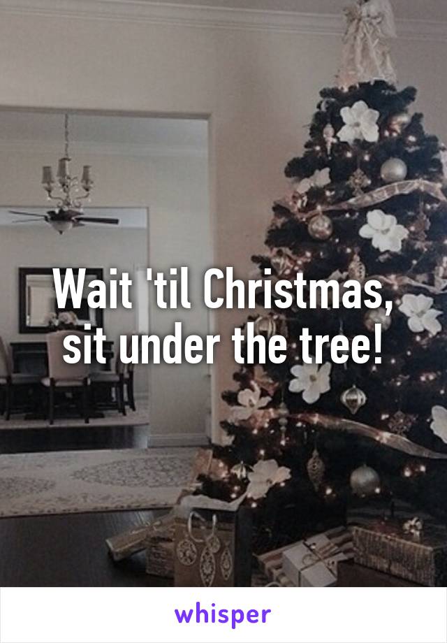 Wait 'til Christmas, sit under the tree!