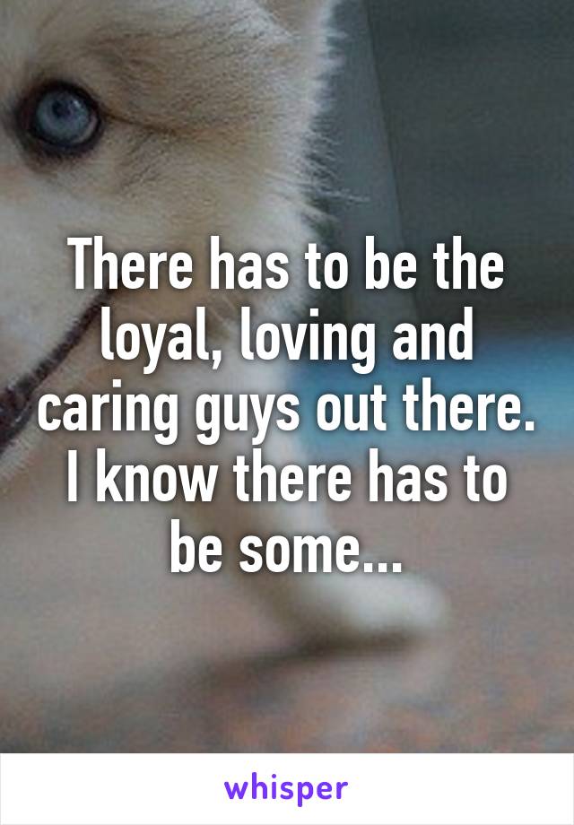 There has to be the loyal, loving and caring guys out there. I know there has to be some...