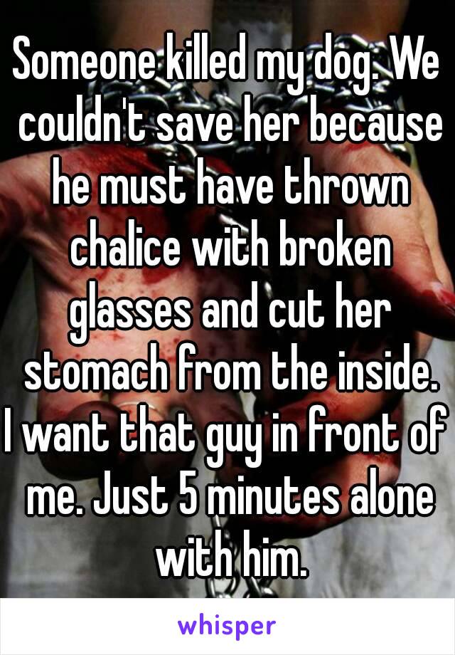 Someone killed my dog. We couldn't save her because he must have thrown chalice with broken glasses and cut her stomach from the inside.
I want that guy in front of me. Just 5 minutes alone with him.
