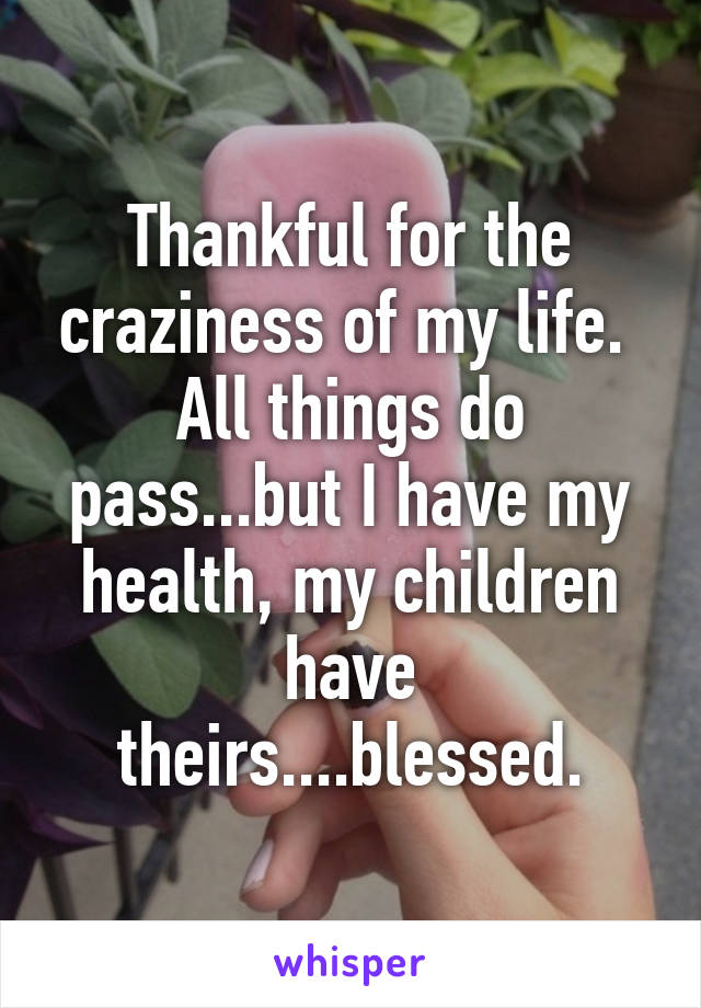 Thankful for the craziness of my life.  All things do pass...but I have my health, my children have theirs....blessed.