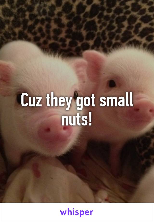 Cuz they got small nuts!