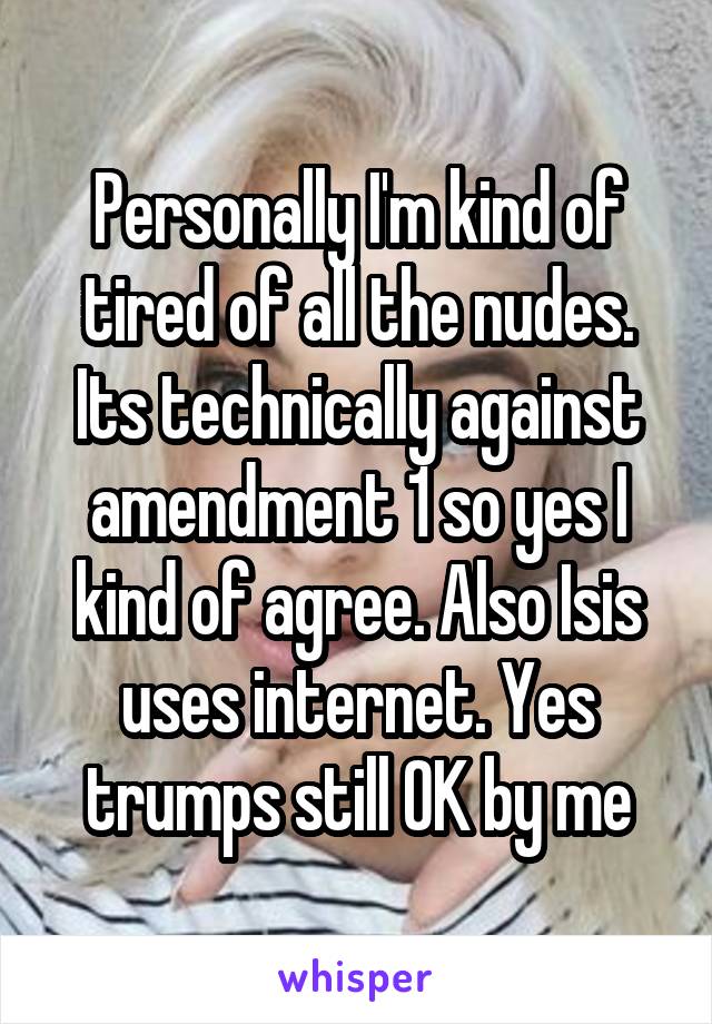 Personally I'm kind of tired of all the nudes. Its technically against amendment 1 so yes I kind of agree. Also Isis uses internet. Yes trumps still OK by me