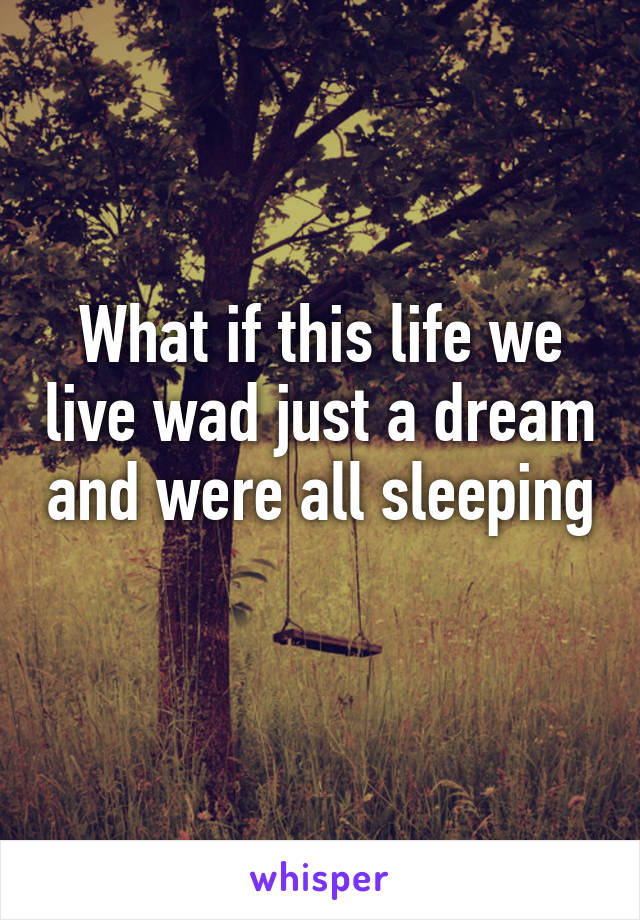 What if this life we live wad just a dream and were all sleeping  