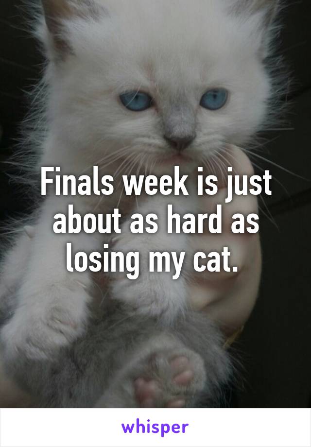 Finals week is just about as hard as losing my cat. 