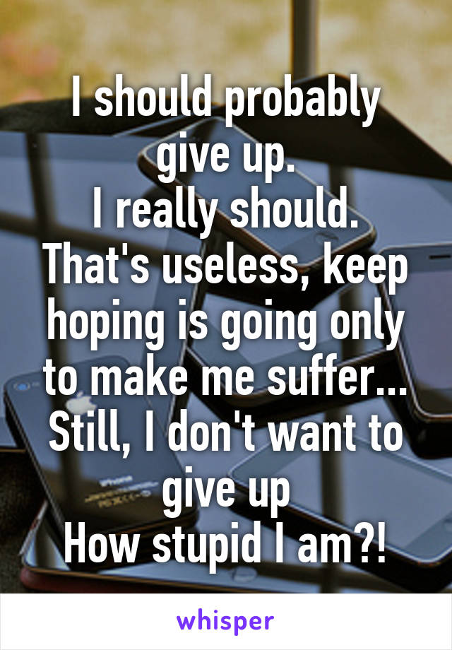 I should probably give up.
I really should.
That's useless, keep hoping is going only to make me suffer...
Still, I don't want to give up
How stupid I am?!