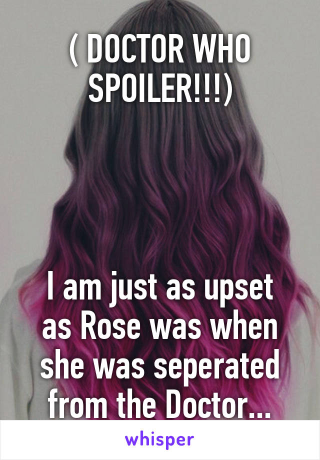 ( DOCTOR WHO SPOILER!!!)




I am just as upset as Rose was when she was seperated from the Doctor...