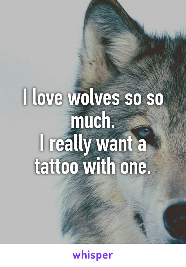 I love wolves so so much.
I really want a tattoo with one.