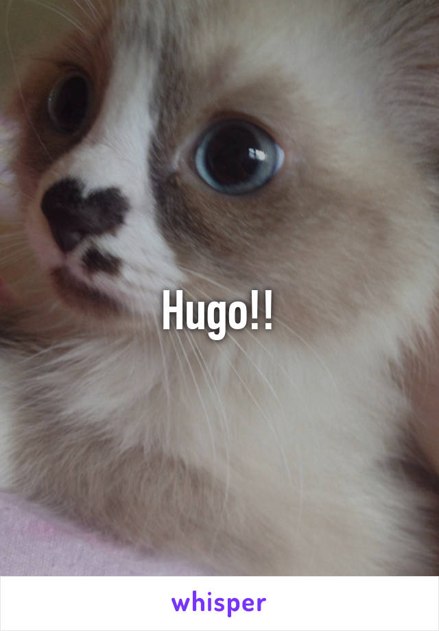 Hugo!!