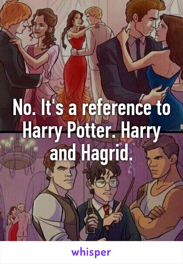 No. It's a reference to Harry Potter. Harry and Hagrid.