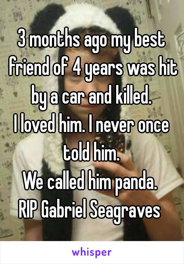 3 months ago my best friend of 4 years was hit by a car and killed. 
I loved him. I never once told him. 
We called him panda. 
RIP Gabriel Seagraves 