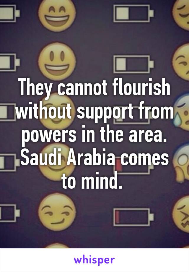 They cannot flourish without support from powers in the area. Saudi Arabia comes to mind. 