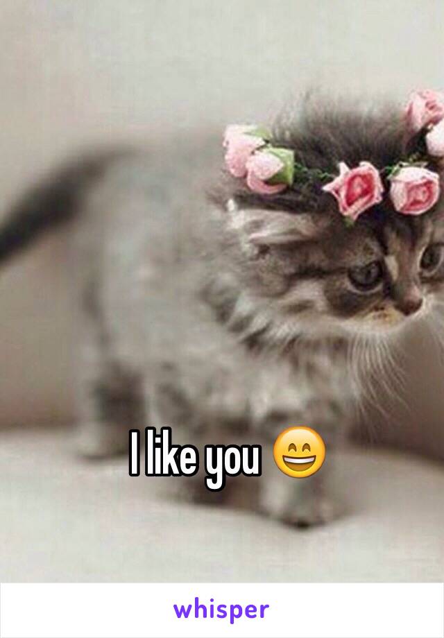 I like you 😄