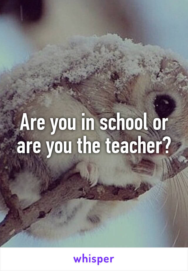 Are you in school or are you the teacher?