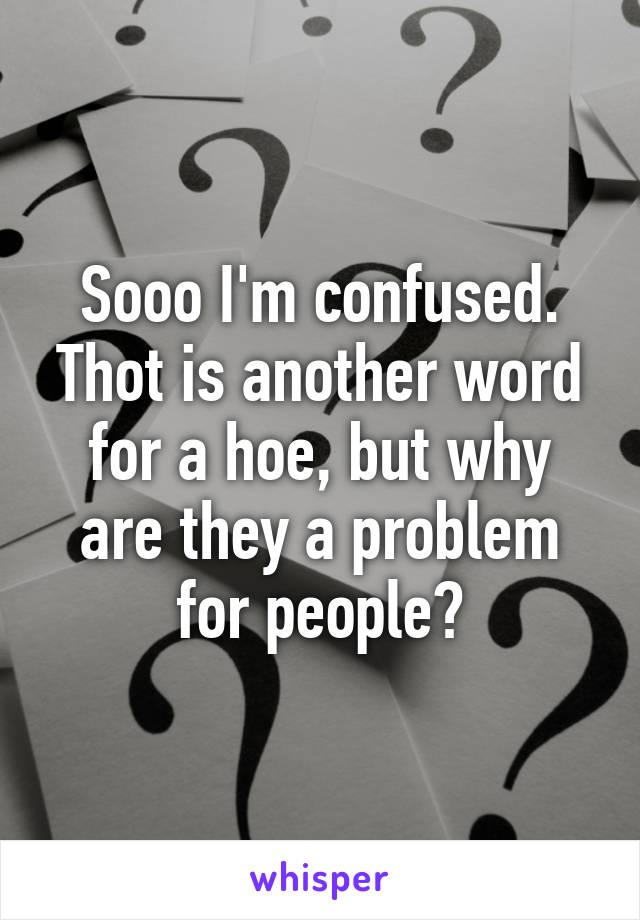 Sooo I'm confused. Thot is another word for a hoe, but why are they a problem for people?