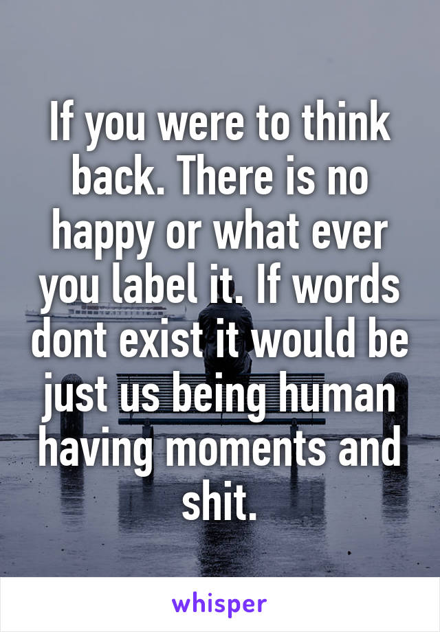 If you were to think back. There is no happy or what ever you label it. If words dont exist it would be just us being human having moments and shit.