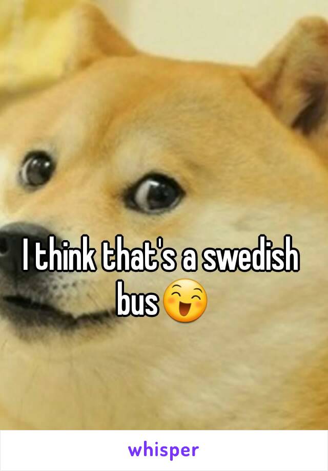 I think that's a swedish bus😄