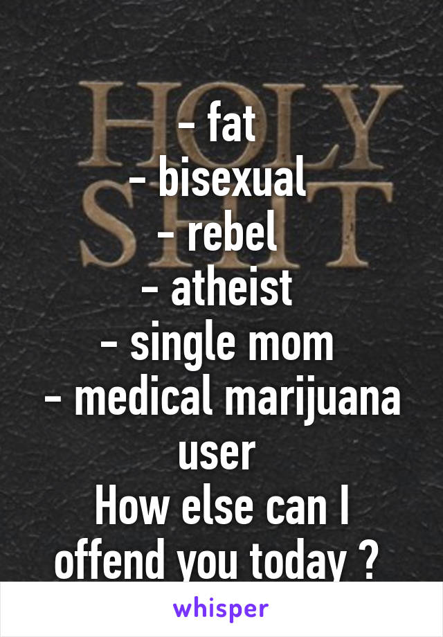 
- fat 
- bisexual 
- rebel 
- atheist 
- single mom 
- medical marijuana user 
How else can I offend you today ? 