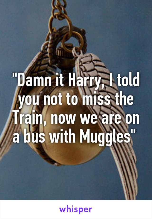 "Damn it Harry, I told you not to miss the Train, now we are on a bus with Muggles" 