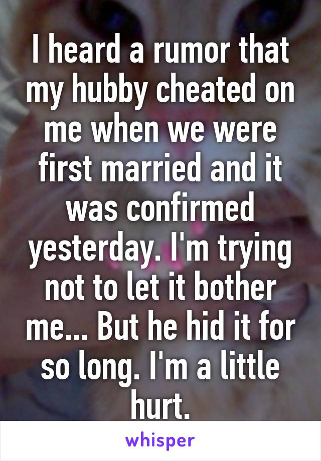 I heard a rumor that my hubby cheated on me when we were first married and it was confirmed yesterday. I'm trying not to let it bother me... But he hid it for so long. I'm a little hurt.