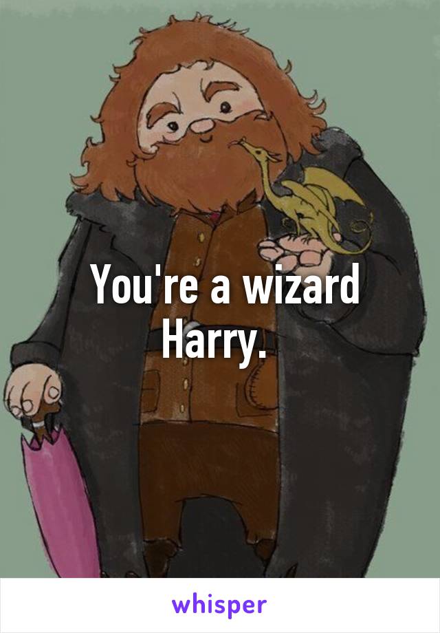  You're a wizard Harry. 