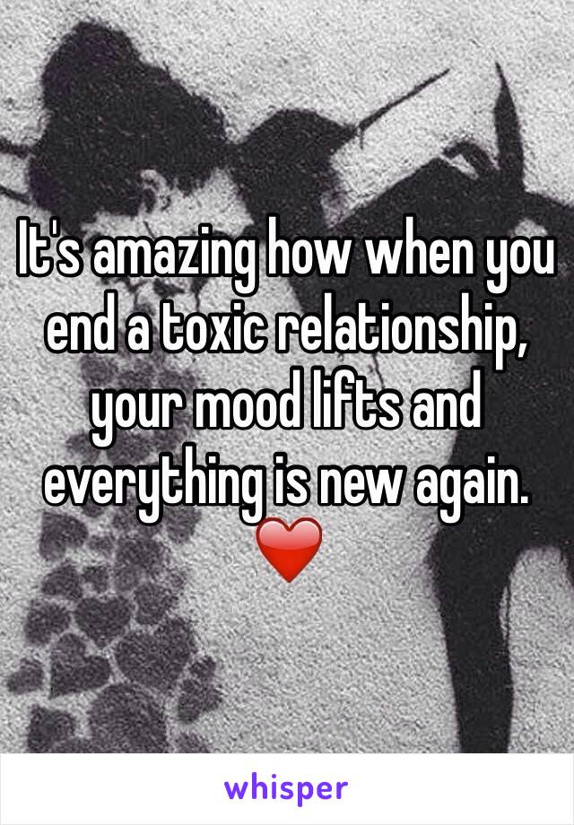 It's amazing how when you end a toxic relationship, your mood lifts and everything is new again. ❤️