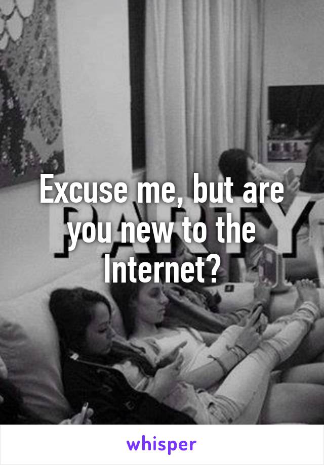 Excuse me, but are you new to the Internet?