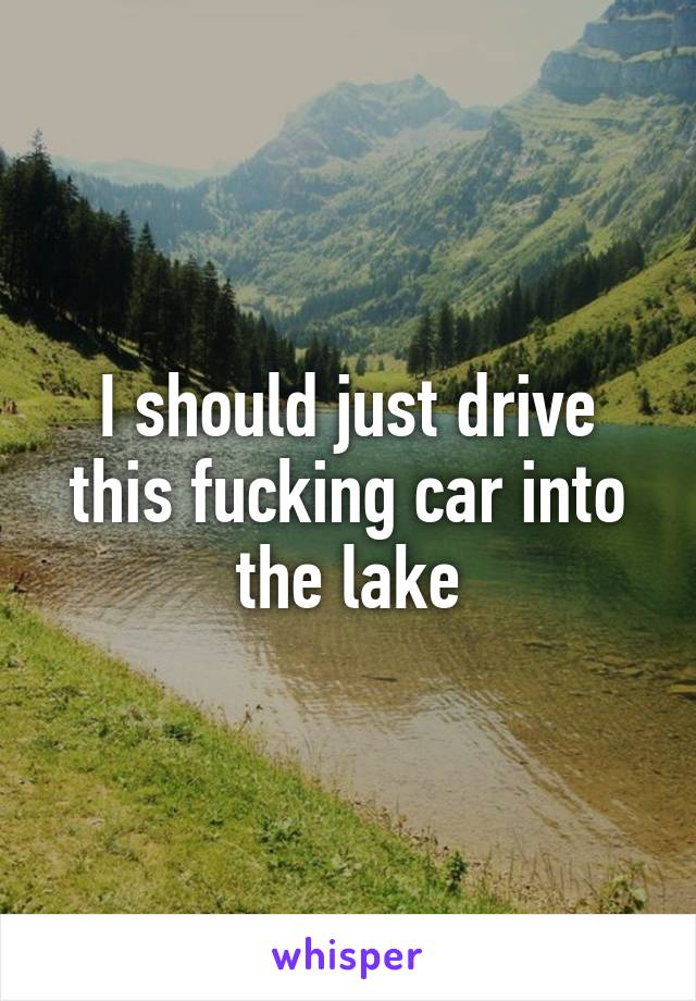 I should just drive this fucking car into the lake