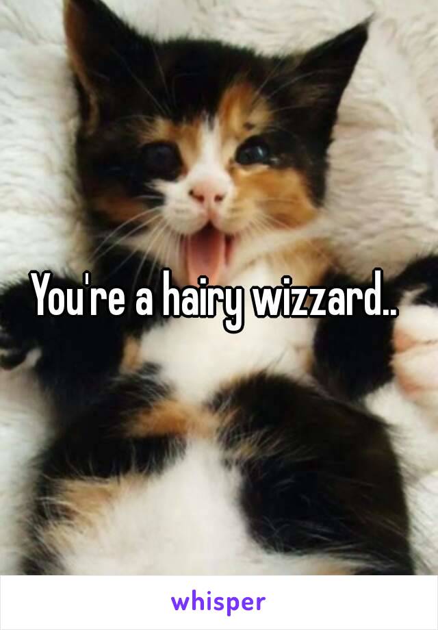 You're a hairy wizzard.. 