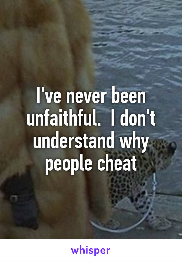 I've never been unfaithful.  I don't understand why people cheat