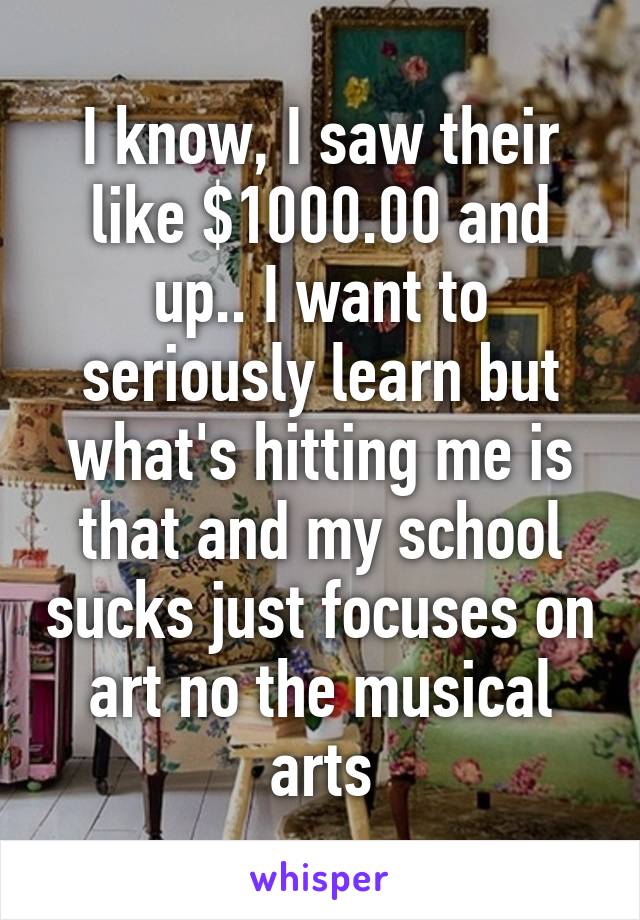 I know, I saw their like $1000.00 and up.. I want to seriously learn but what's hitting me is that and my school sucks just focuses on art no the musical arts