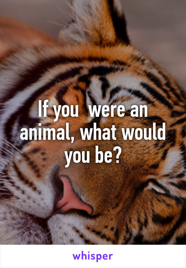 If you  were an animal, what would you be?