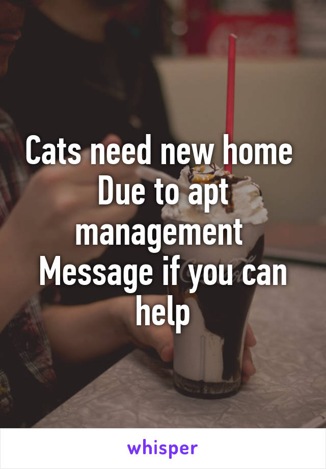 Cats need new home 
Due to apt management 
Message if you can help