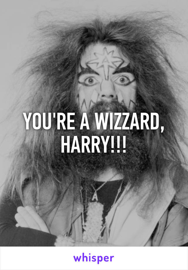 YOU'RE A WIZZARD, HARRY!!!