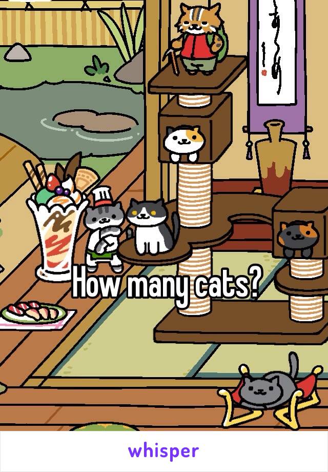 How many cats?