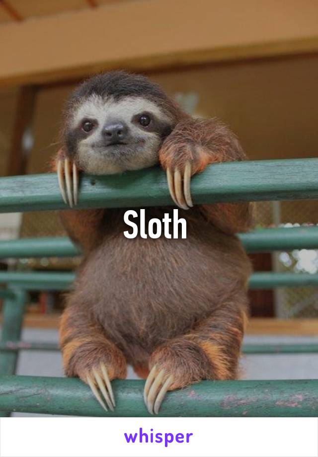 Sloth 